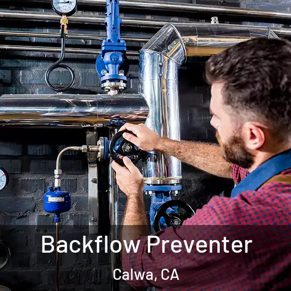  Backflow Preventer Calwa, CA