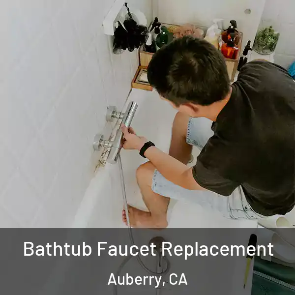  Bathtub Faucet Replacement Auberry, CA