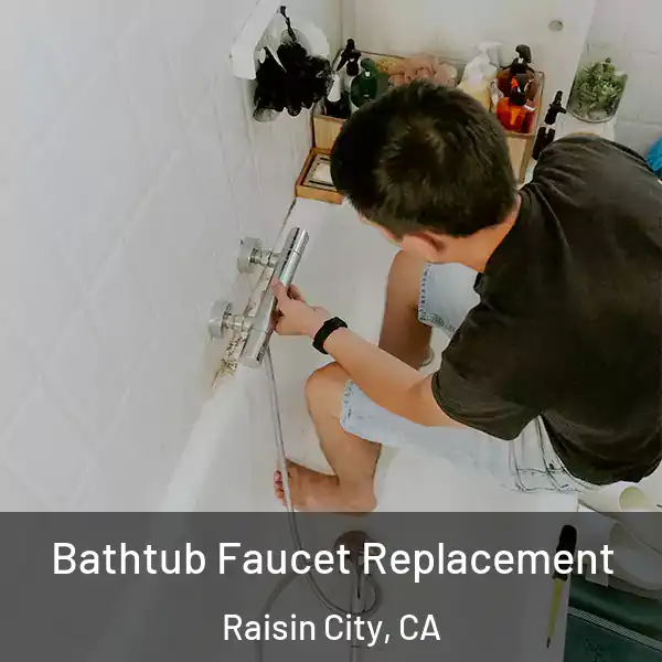  Bathtub Faucet Replacement Raisin City, CA