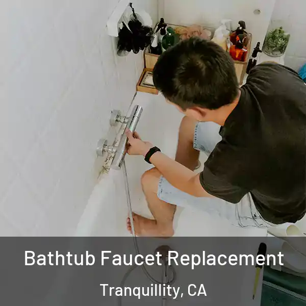  Bathtub Faucet Replacement Tranquillity, CA
