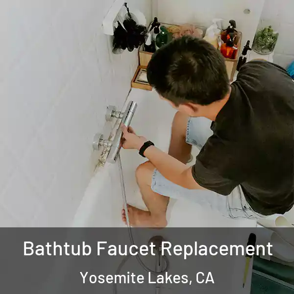  Bathtub Faucet Replacement Yosemite Lakes, CA