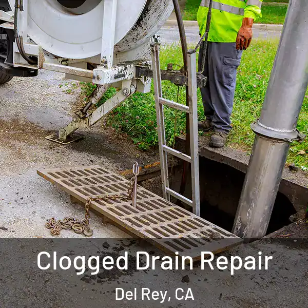  Clogged Drain Repair Del Rey, CA