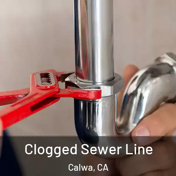  Clogged Sewer Line Calwa, CA