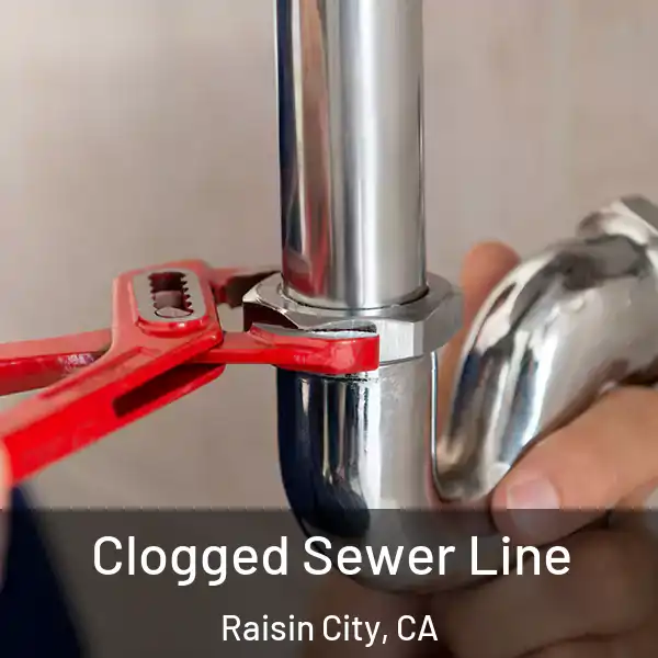 Clogged Sewer Line Raisin City, CA