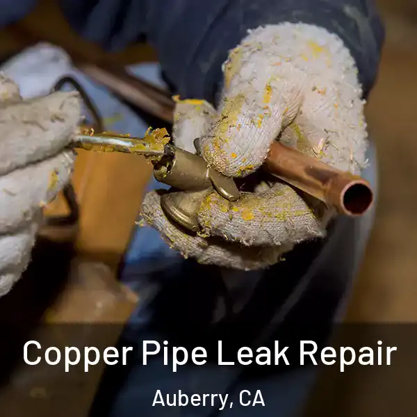  Copper Pipe Leak Repair Auberry, CA