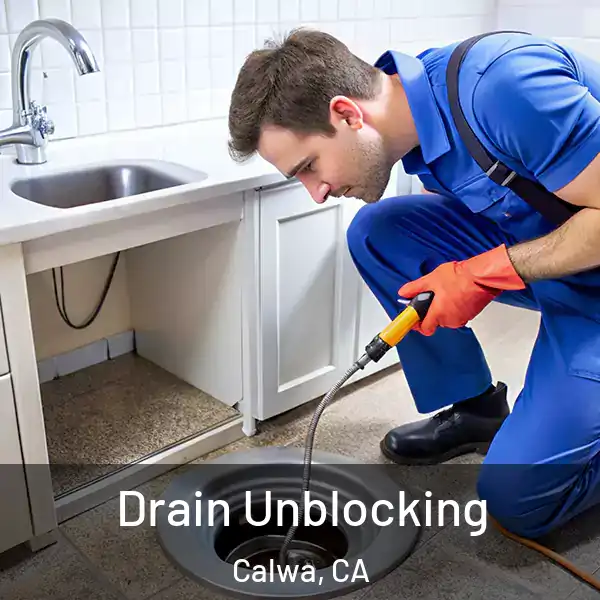  Drain Unblocking Calwa, CA