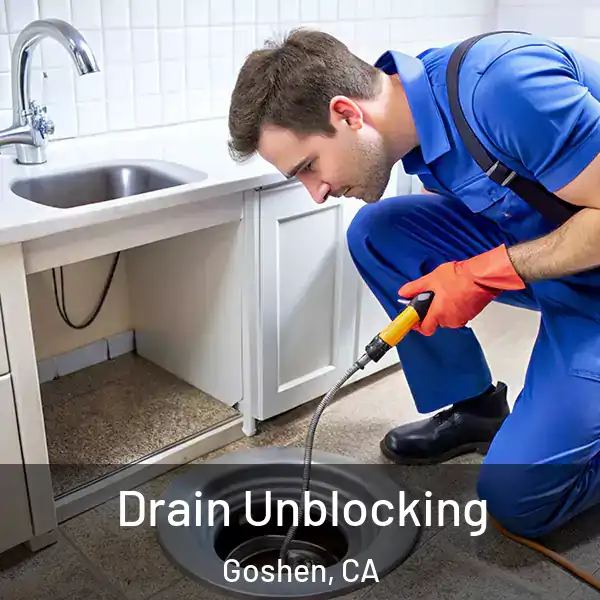  Drain Unblocking Goshen, CA