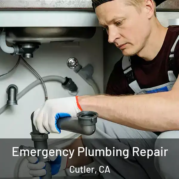  Emergency Plumbing Repair Cutler, CA