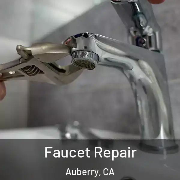  Faucet Repair Auberry, CA