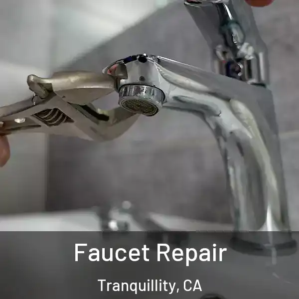  Faucet Repair Tranquillity, CA