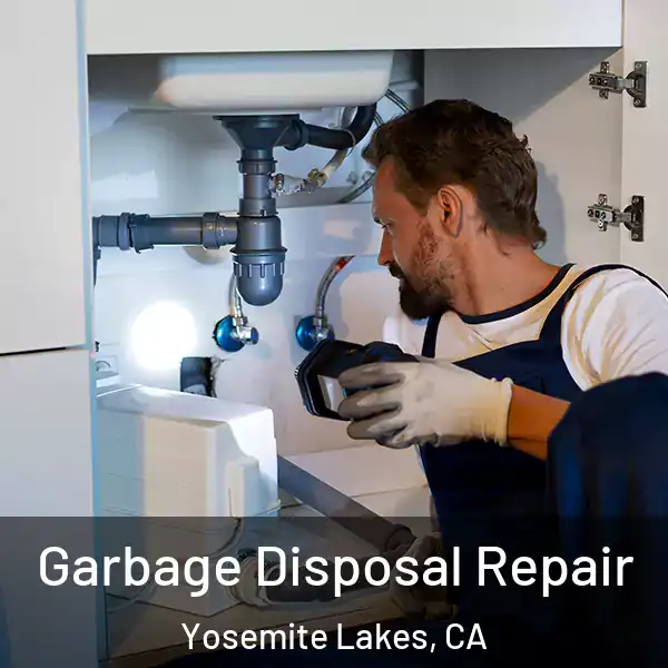  Garbage Disposal Repair Yosemite Lakes, CA
