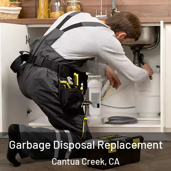  Garbage Disposal Replacement Cantua Creek, CA