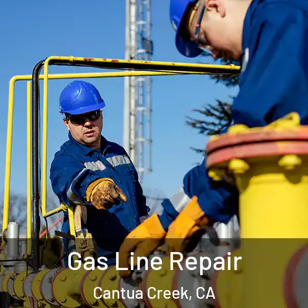  Gas Line Repair Cantua Creek, CA