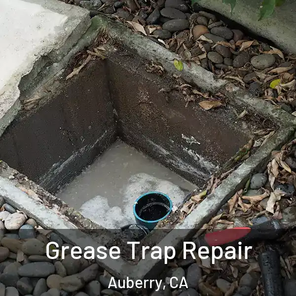  Grease Trap Repair Auberry, CA