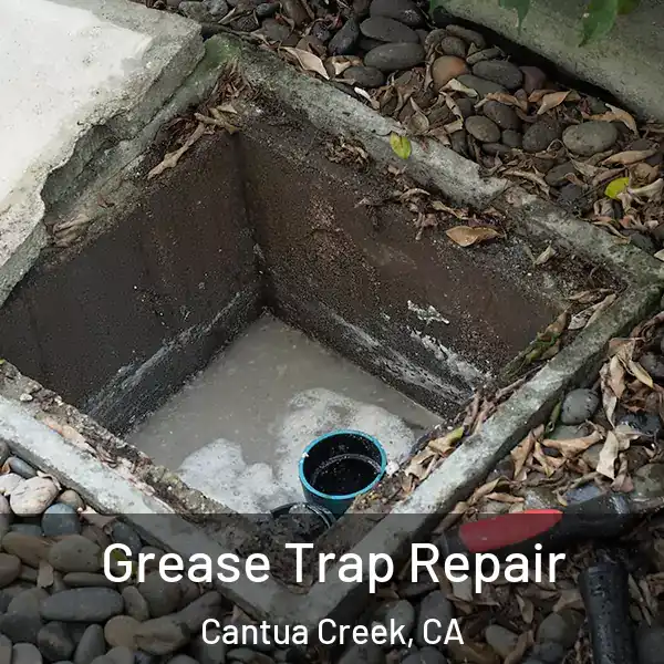  Grease Trap Repair Cantua Creek, CA