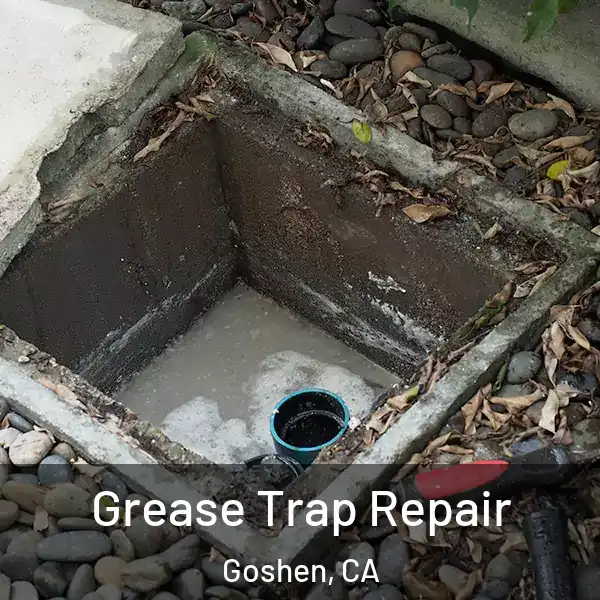  Grease Trap Repair Goshen, CA