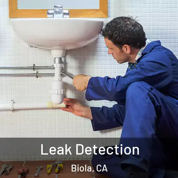 Leak Detection Biola, CA