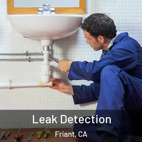  Leak Detection Friant, CA