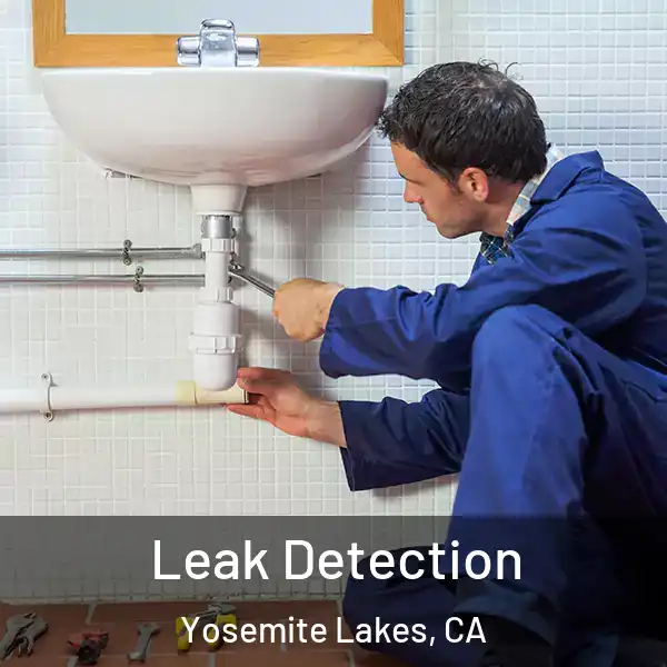  Leak Detection Yosemite Lakes, CA