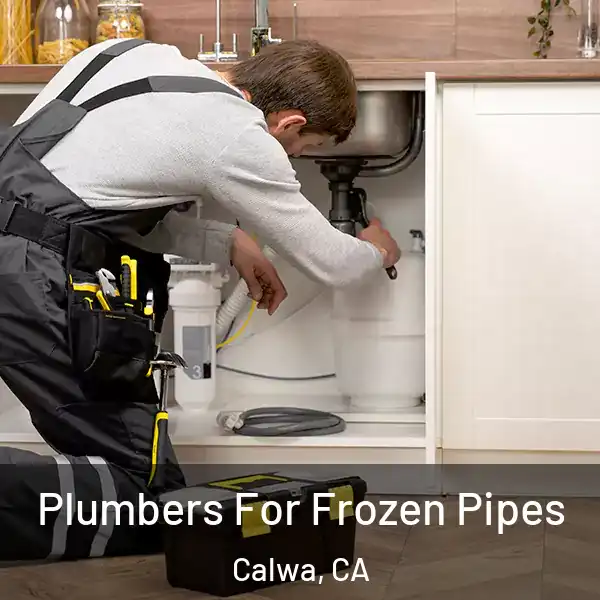  Plumbers For Frozen Pipes Calwa, CA