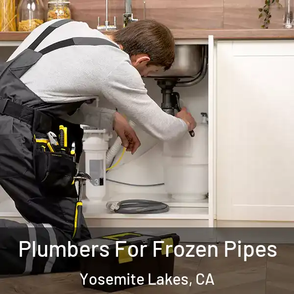  Plumbers For Frozen Pipes Yosemite Lakes, CA