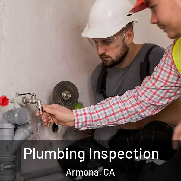  Plumbing Inspection Armona, CA