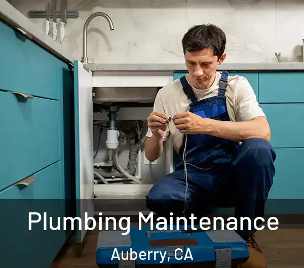  Plumbing Maintenance Auberry, CA