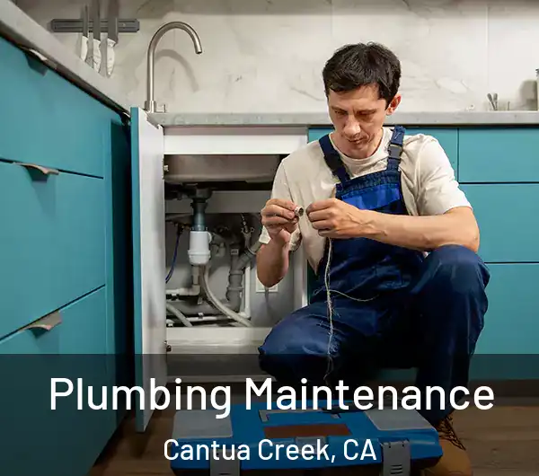  Plumbing Maintenance Cantua Creek, CA