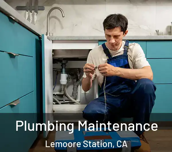  Plumbing Maintenance Lemoore Station, CA