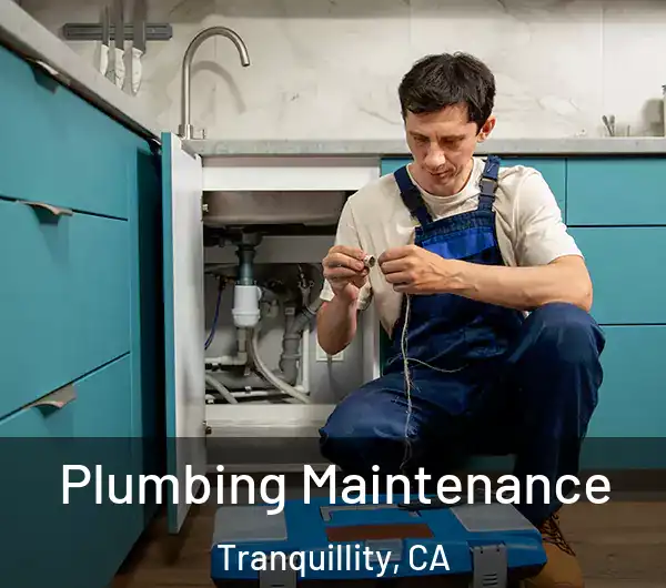  Plumbing Maintenance Tranquillity, CA
