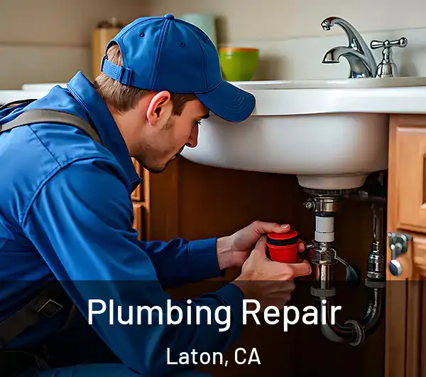  Plumbing Repair Laton, CA
