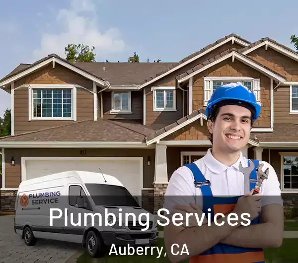  Plumbing Services Auberry, CA
