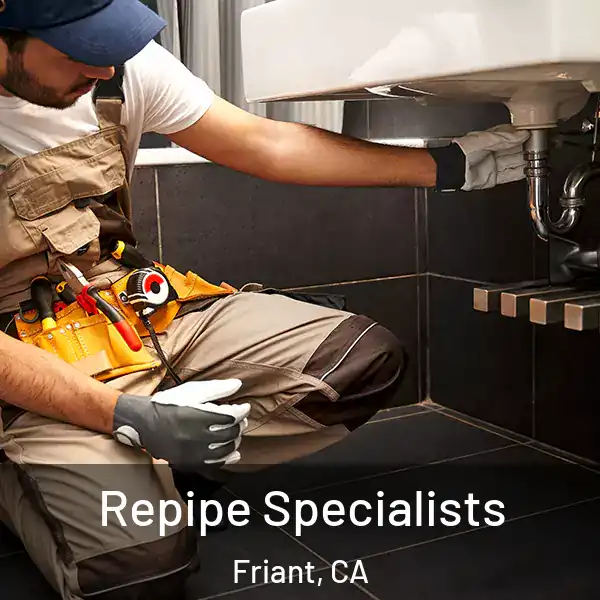  Repipe Specialists Friant, CA
