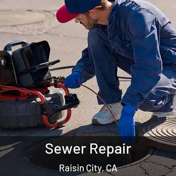  Sewer Repair Raisin City, CA