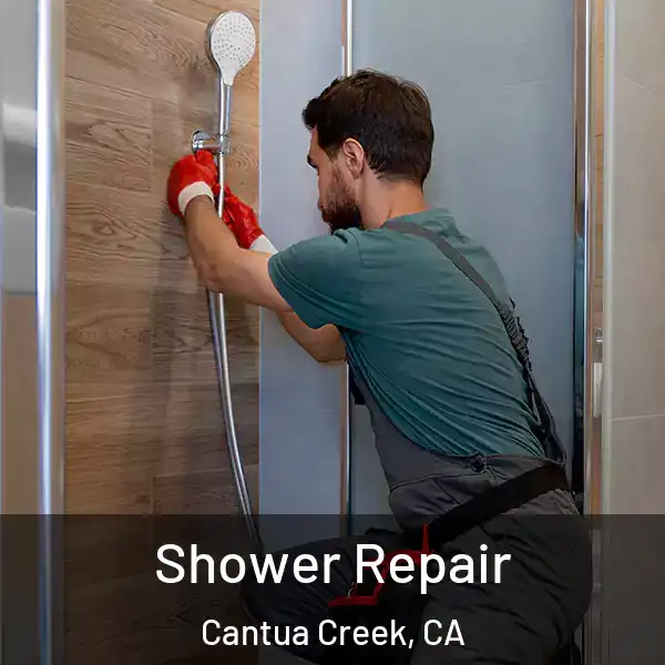  Shower Repair Cantua Creek, CA