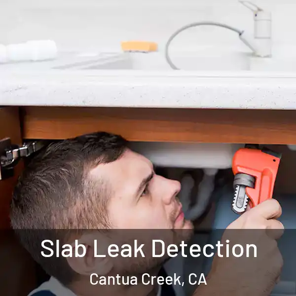  Slab Leak Detection Cantua Creek, CA