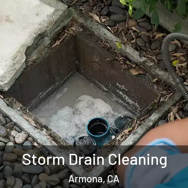  Storm Drain Cleaning Armona, CA