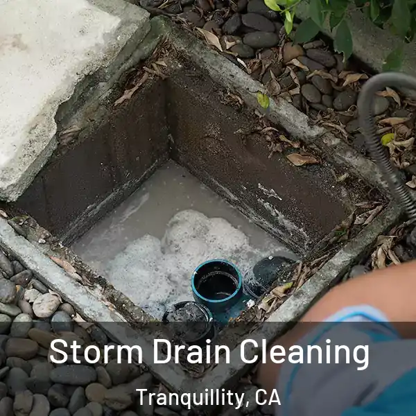  Storm Drain Cleaning Tranquillity, CA