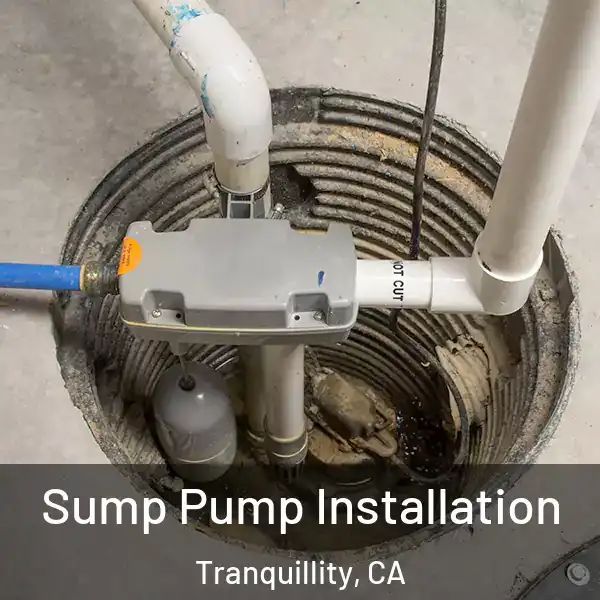  Sump Pump Installation Tranquillity, CA