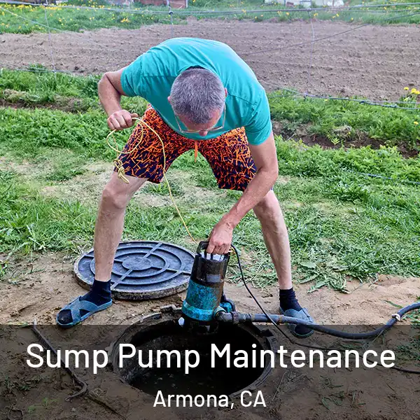  Sump Pump Maintenance Armona, CA