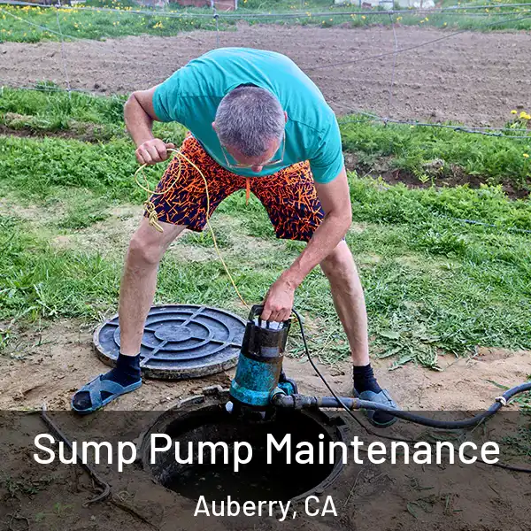  Sump Pump Maintenance Auberry, CA