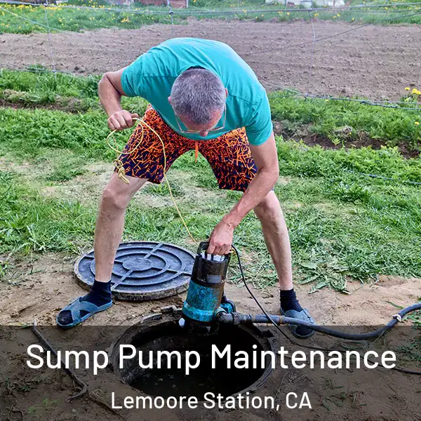  Sump Pump Maintenance Lemoore Station, CA