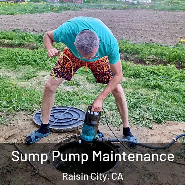  Sump Pump Maintenance Raisin City, CA