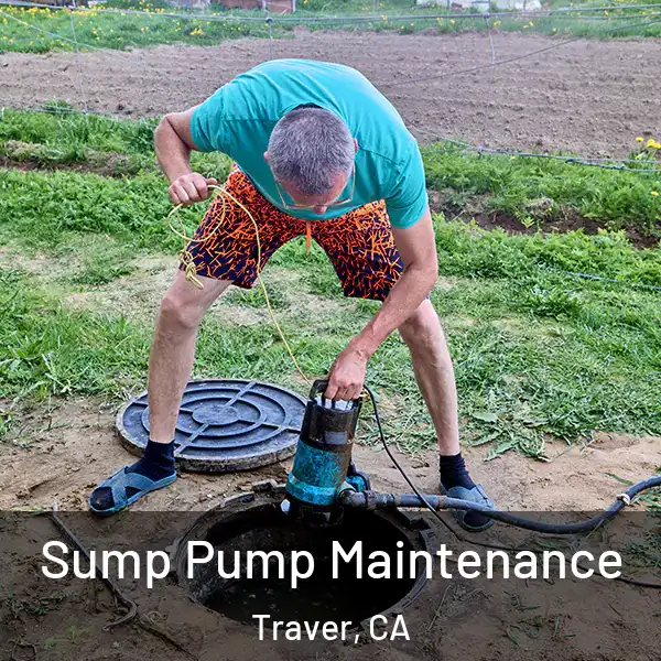  Sump Pump Maintenance Traver, CA