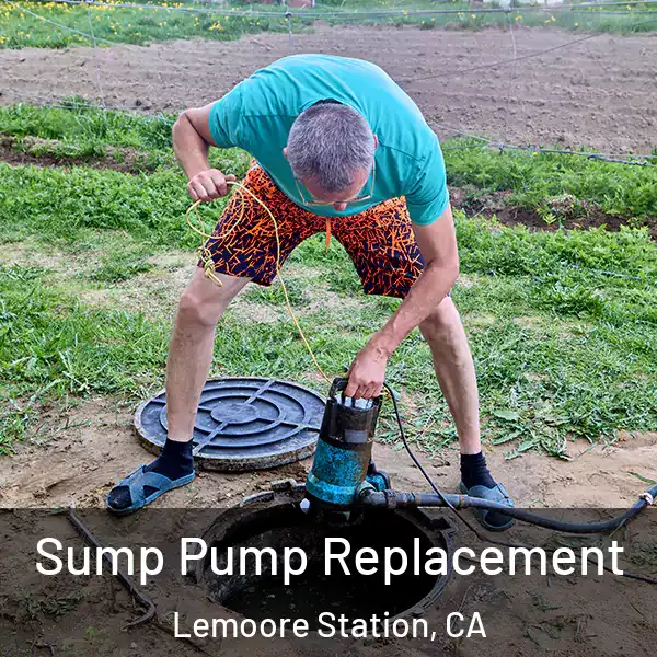  Sump Pump Replacement Lemoore Station, CA