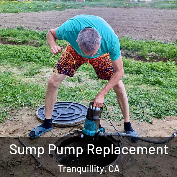  Sump Pump Replacement Tranquillity, CA