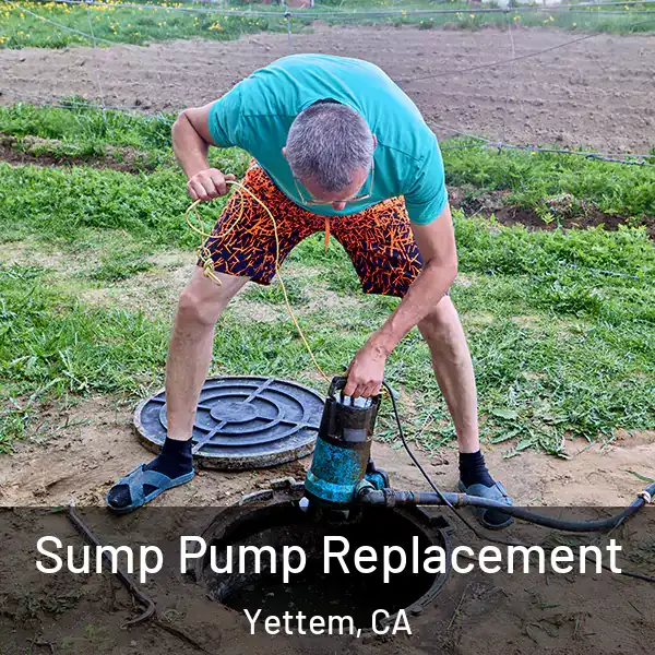  Sump Pump Replacement Yettem, CA
