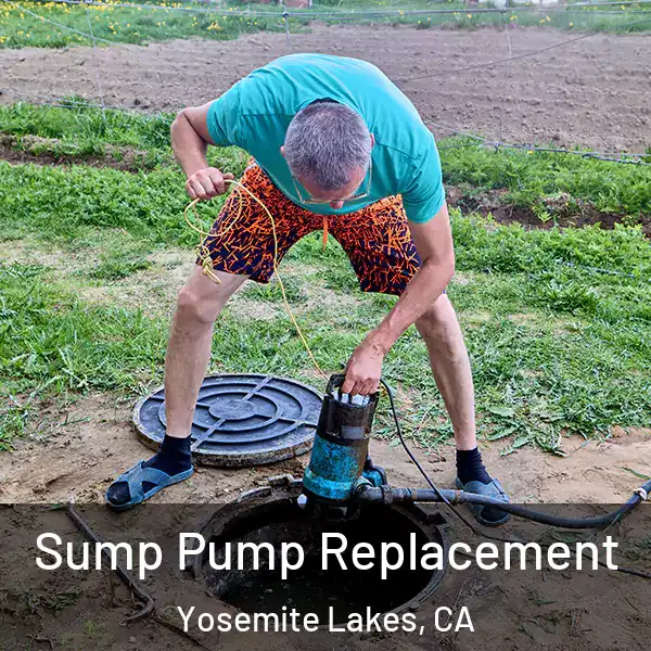  Sump Pump Replacement Yosemite Lakes, CA