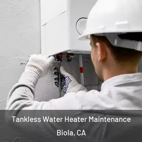 Tankless Water Heater Maintenance Biola, CA