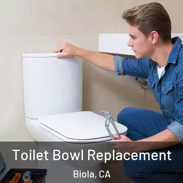  Toilet Bowl Replacement Biola, CA